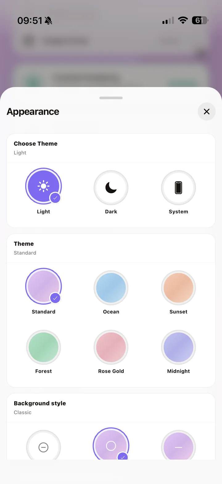 Multi-Language and Appearance Controls detail